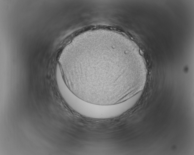 X0000115281303200912111217