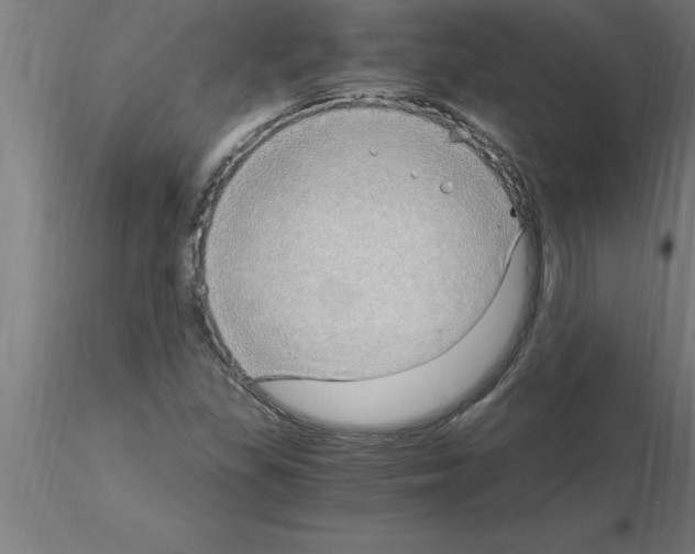 X0000115281309200912111217