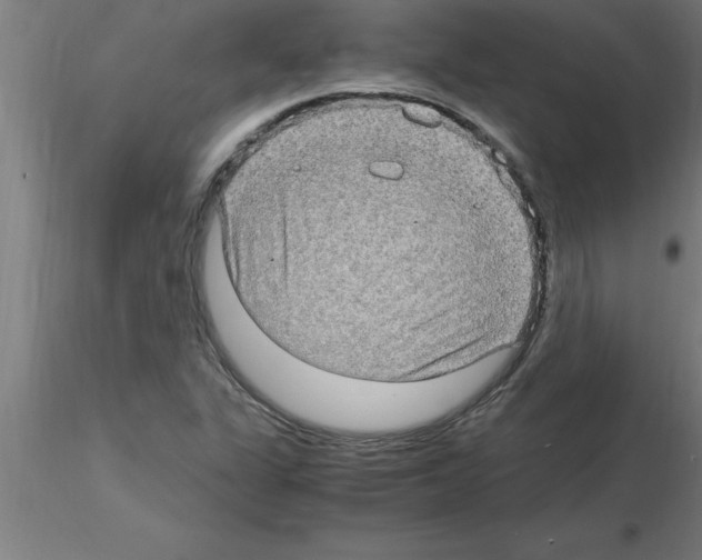 X0000115281311200912111217