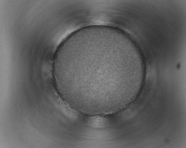 X0000115281314200912111217