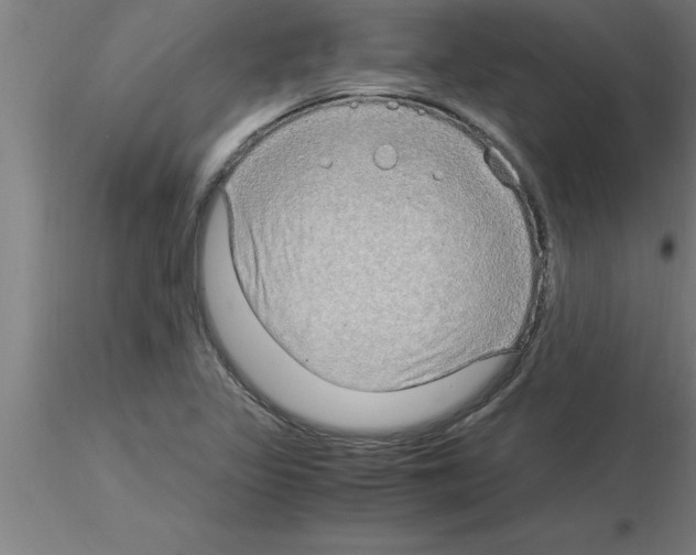 X0000115281317200912111217