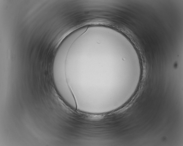 X0000115281321200912111217