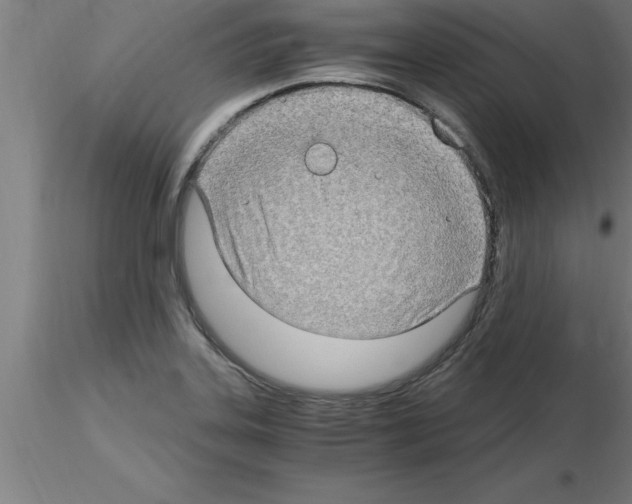 X0000115281323200912111217