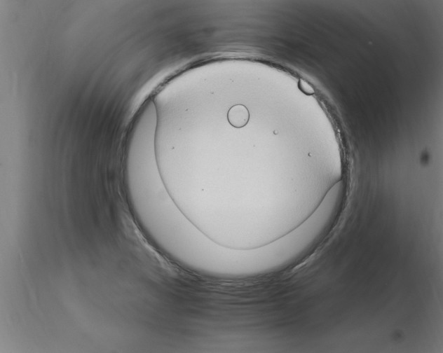 X0000115281325200912111217