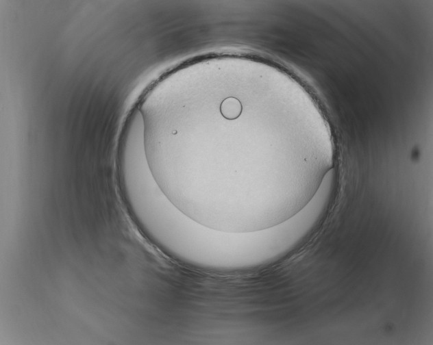 X0000115281327200912111217