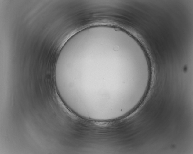 X0000115281329200912111217