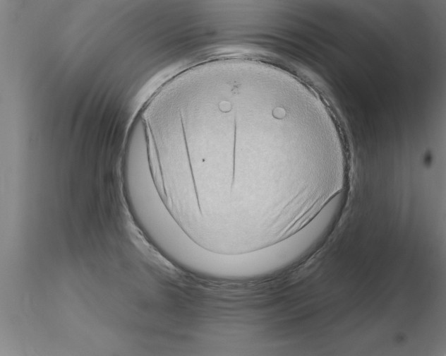 X0000115281330200912111217