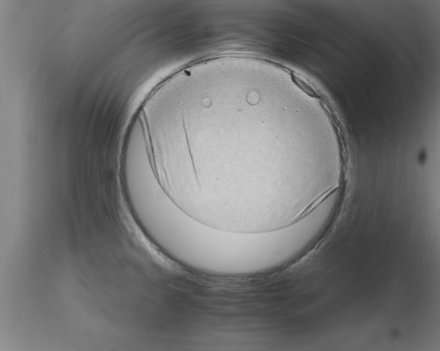 X0000115281333200912111217