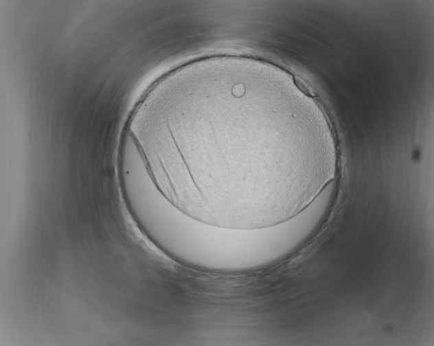 X0000115281334200912111217