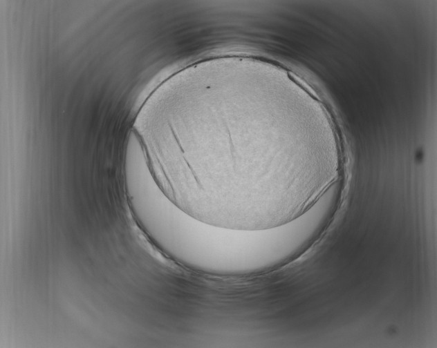 X0000115281337200912111217