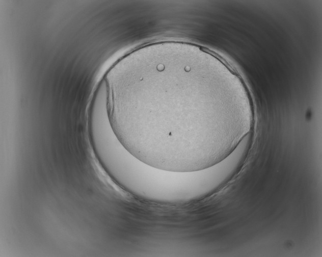 X0000115281341200912111217