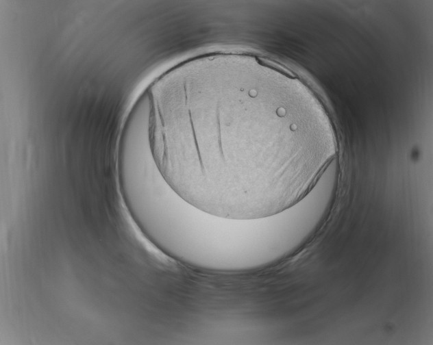 X0000115281343200912111217