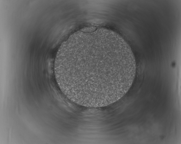 X0000115281346200912111217