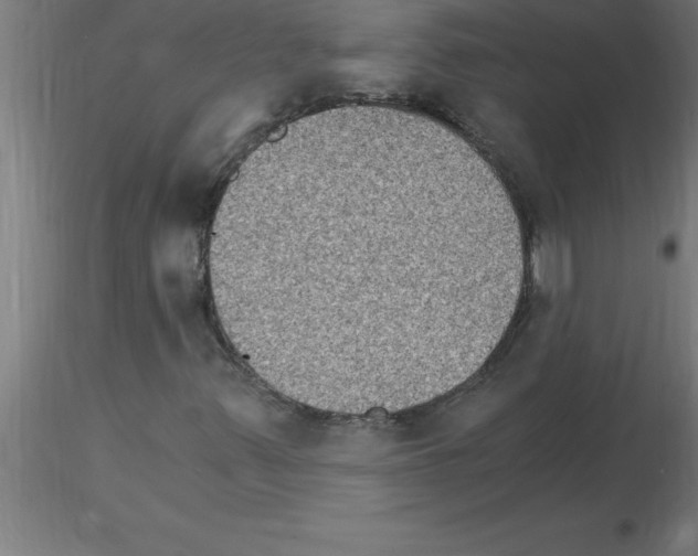 X0000115281347200912111217