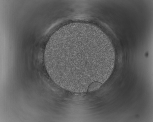 X0000115281350200912111217