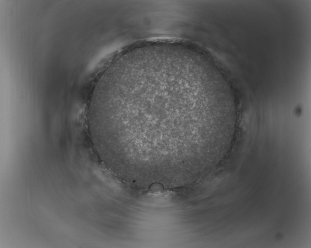 X0000115281351200912111217