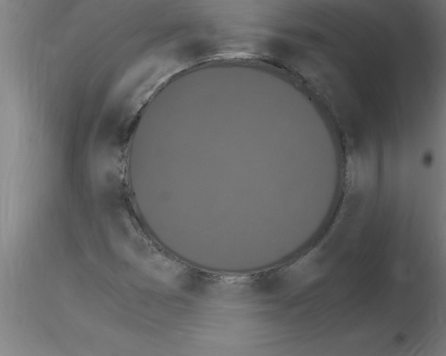 X0000115281353200912111216