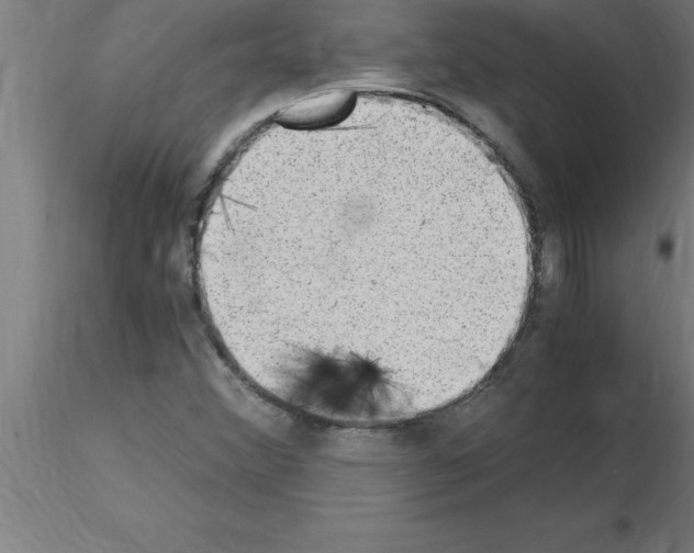 X0000115281356200912111216