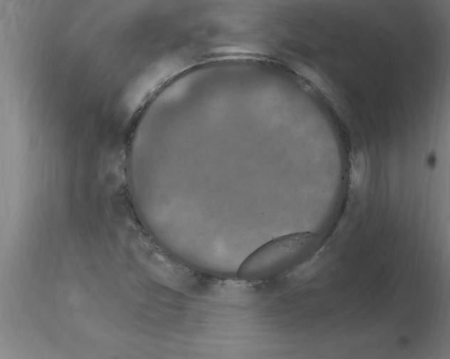 X0000115281357200912111216