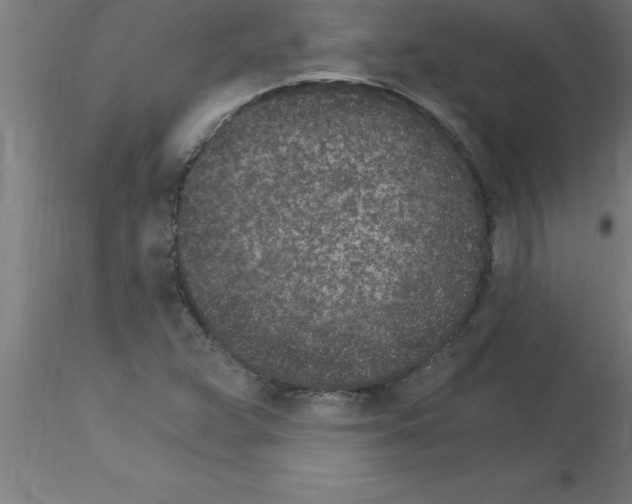 X0000115281359200912111216