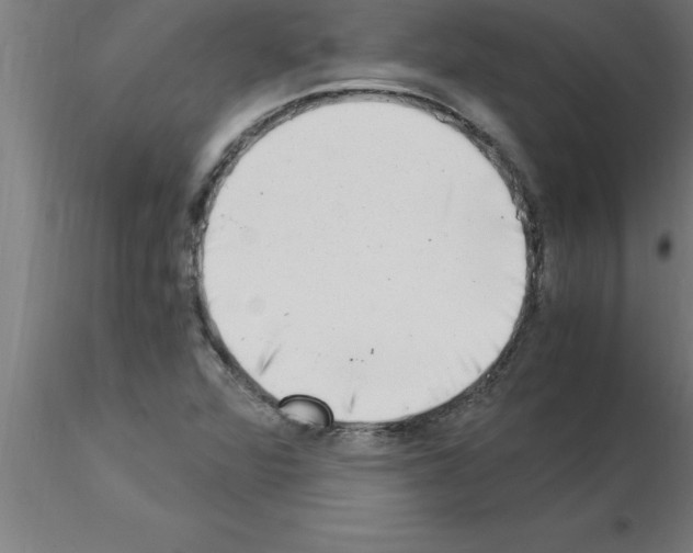 X0000115281360200912111216