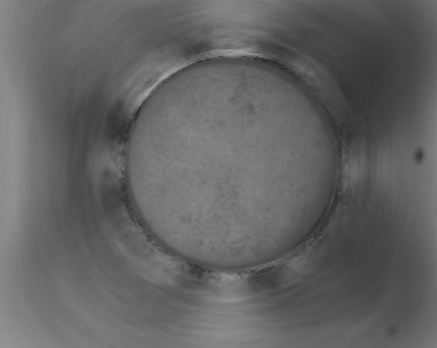 X0000115281361200912111216