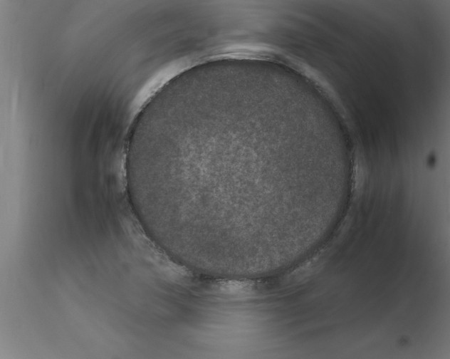 X0000115281362200912111216