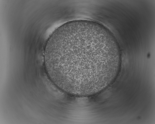 X0000115281363200912111216