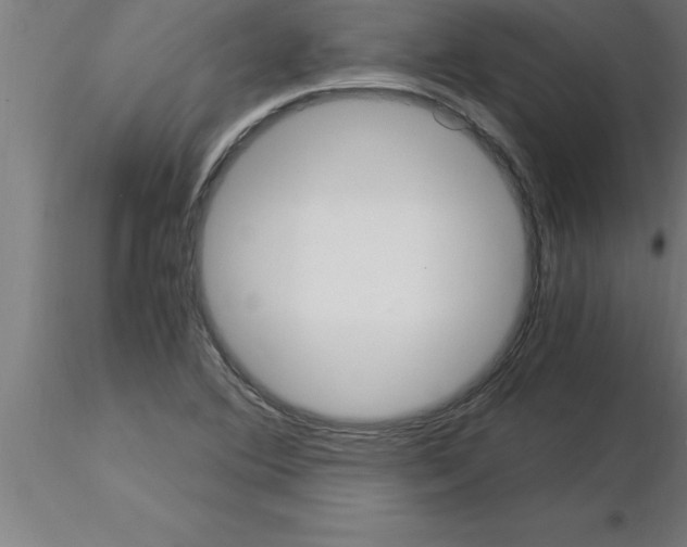 X0000115281364200912111216