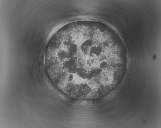 X0000115281365200912111216