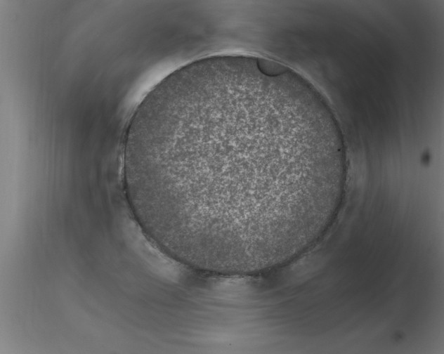 X0000115281367200912111216