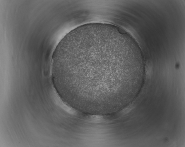 X0000115281371200912111216