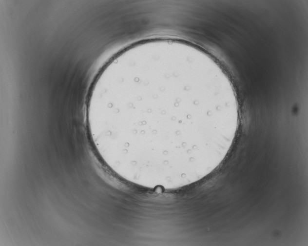 X0000115281372200912111216