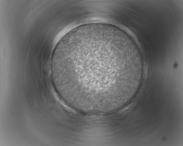 X0000115281373200912111216