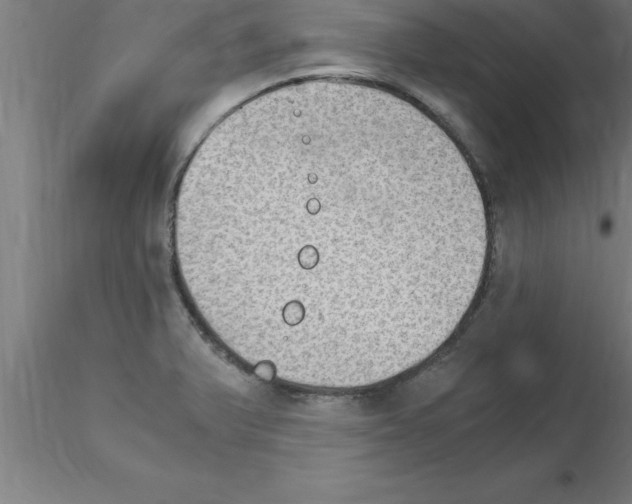 X0000115281375200912111216