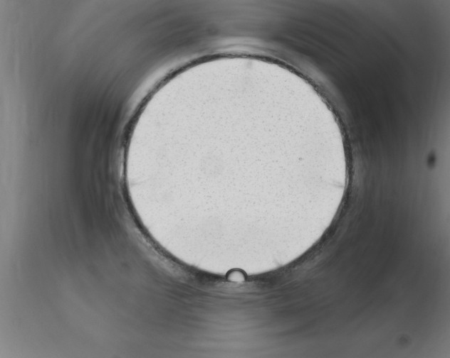 X0000115281376200912111216