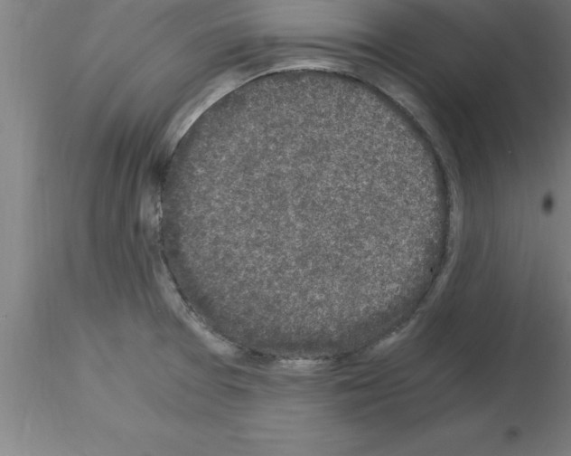 X0000115281377200912111216