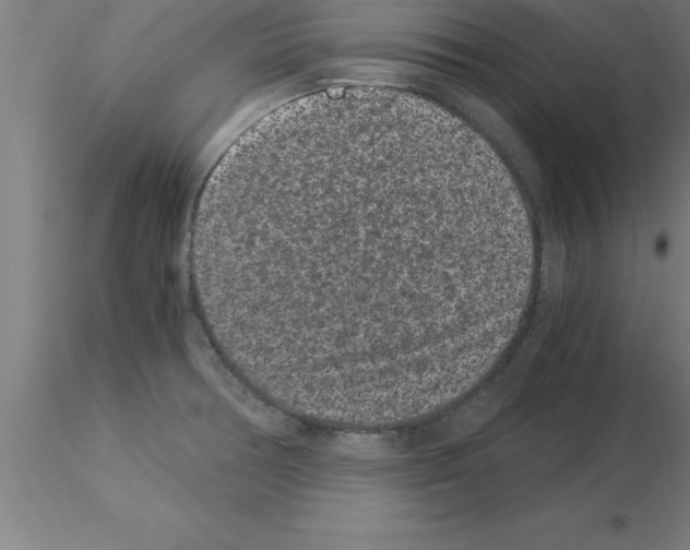 X0000115281378200912111216