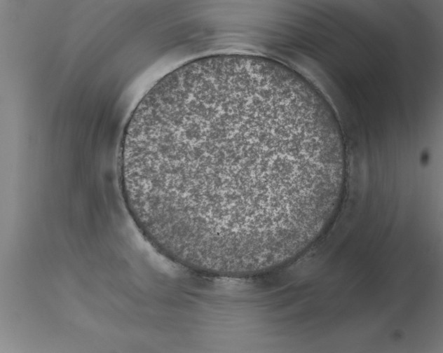 X0000115281379200912111216