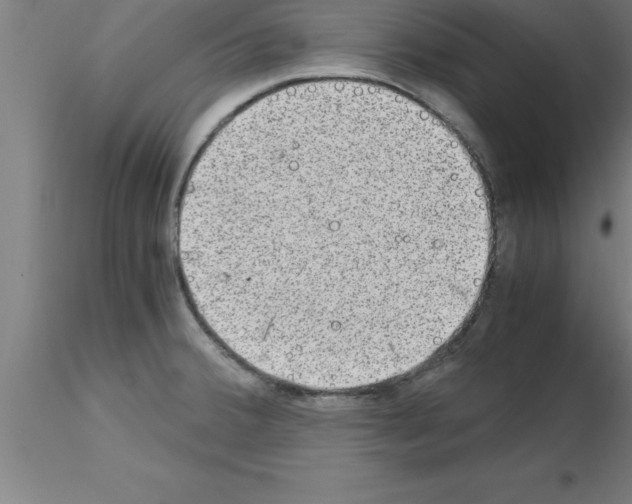 X0000115281380200912111216