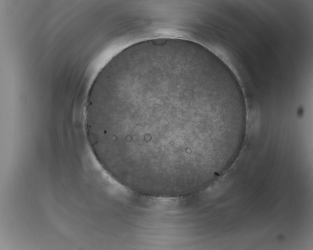 X0000115281381200912111216