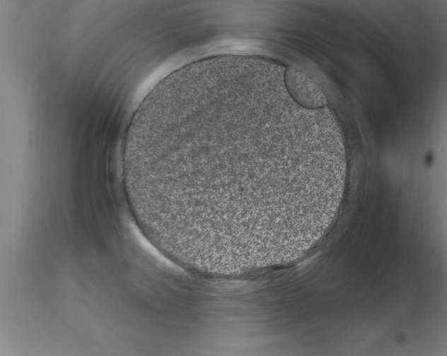 X0000115281382200912111216