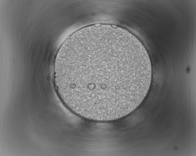 X0000115281383200912111216