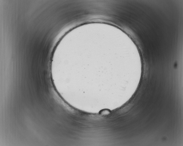 X0000115281384200912111216