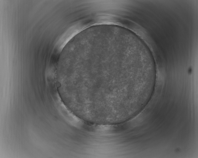 X0000115281385200912111216