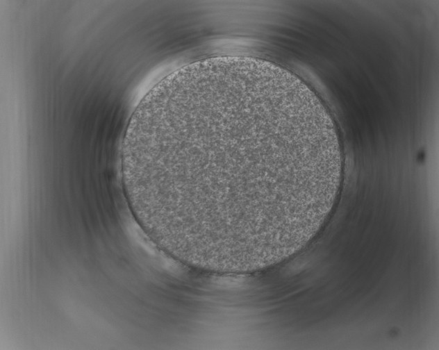 X0000115281386200912111216