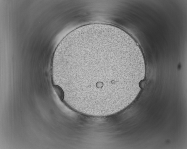 X0000115281387200912111216