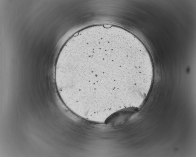 X0000115281388200912111216