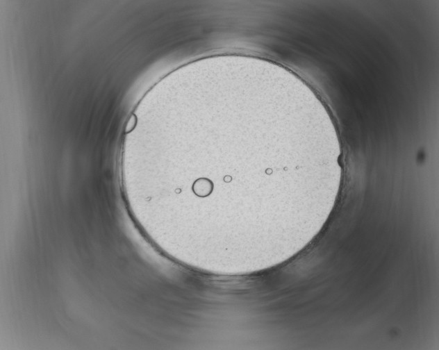 X0000115281391200912111216