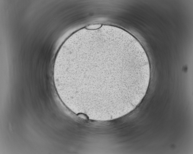 X0000115281392200912111216